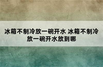 冰箱不制冷放一碗开水 冰箱不制冷放一碗开水放到哪